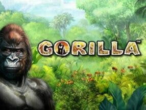 free 100 slot casino